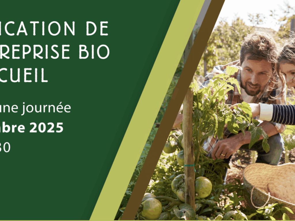 Diversification de mon entreprise bio par l’accueil