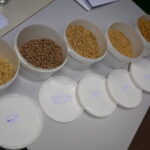 Test de temps de cuisson selon les types de mouture et les variétés chez Biowallonie