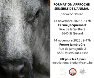 Formation approche sensible de l'animal