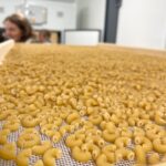 Visite de la ferme de Monsieur et Madame Fourmy, dans l'Ain. Paysans-meuniers-pastiers 