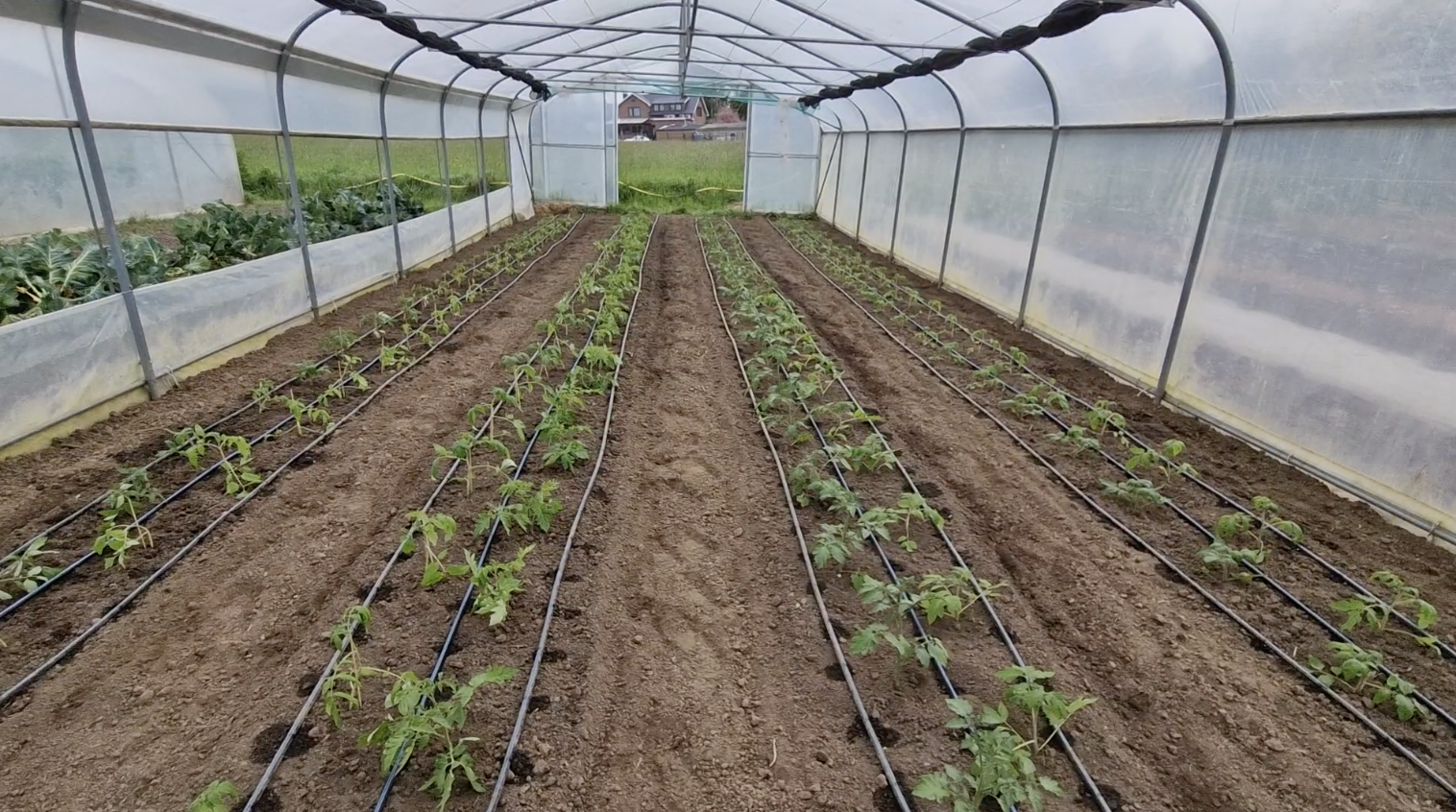 Rencontre maraichage bio 2025 (LUX) - visuel