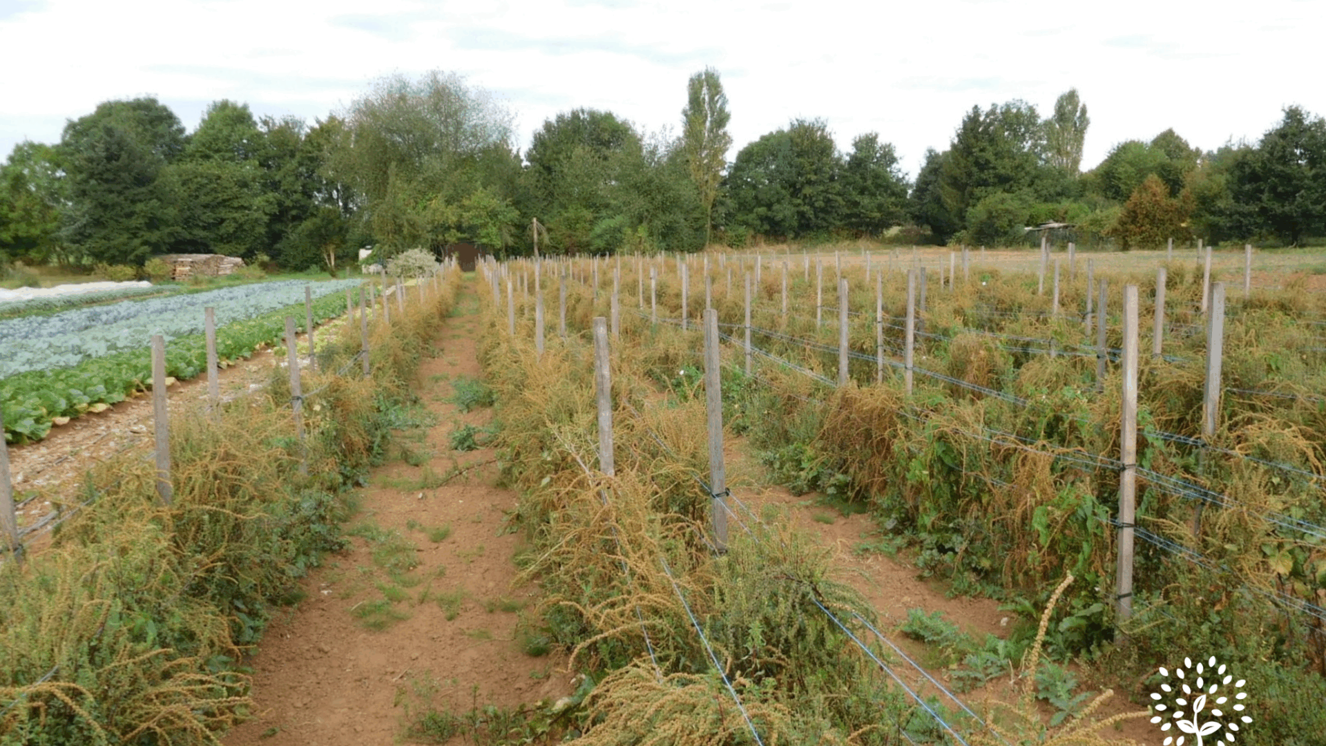 Outils techniques – BioCérès