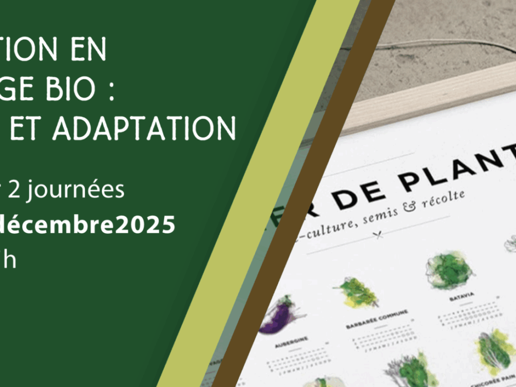 Formation courte: Planification en maraichage bio : réflexion et adaptation