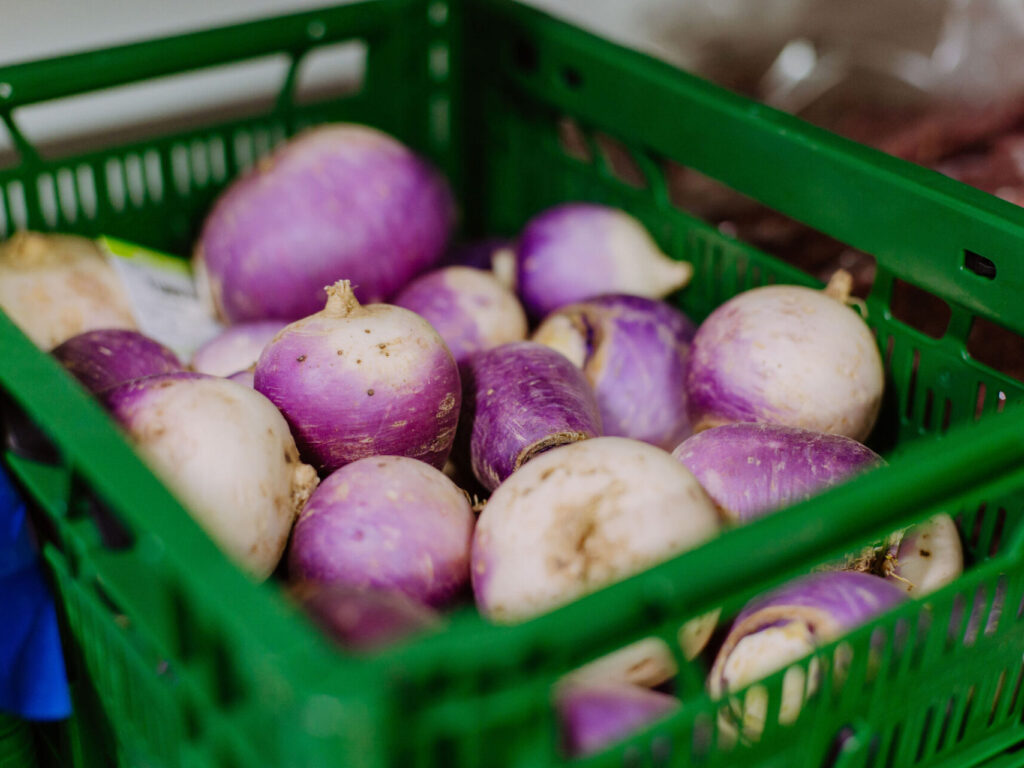 Listing des fournisseurs bio à destination de l’Horeca