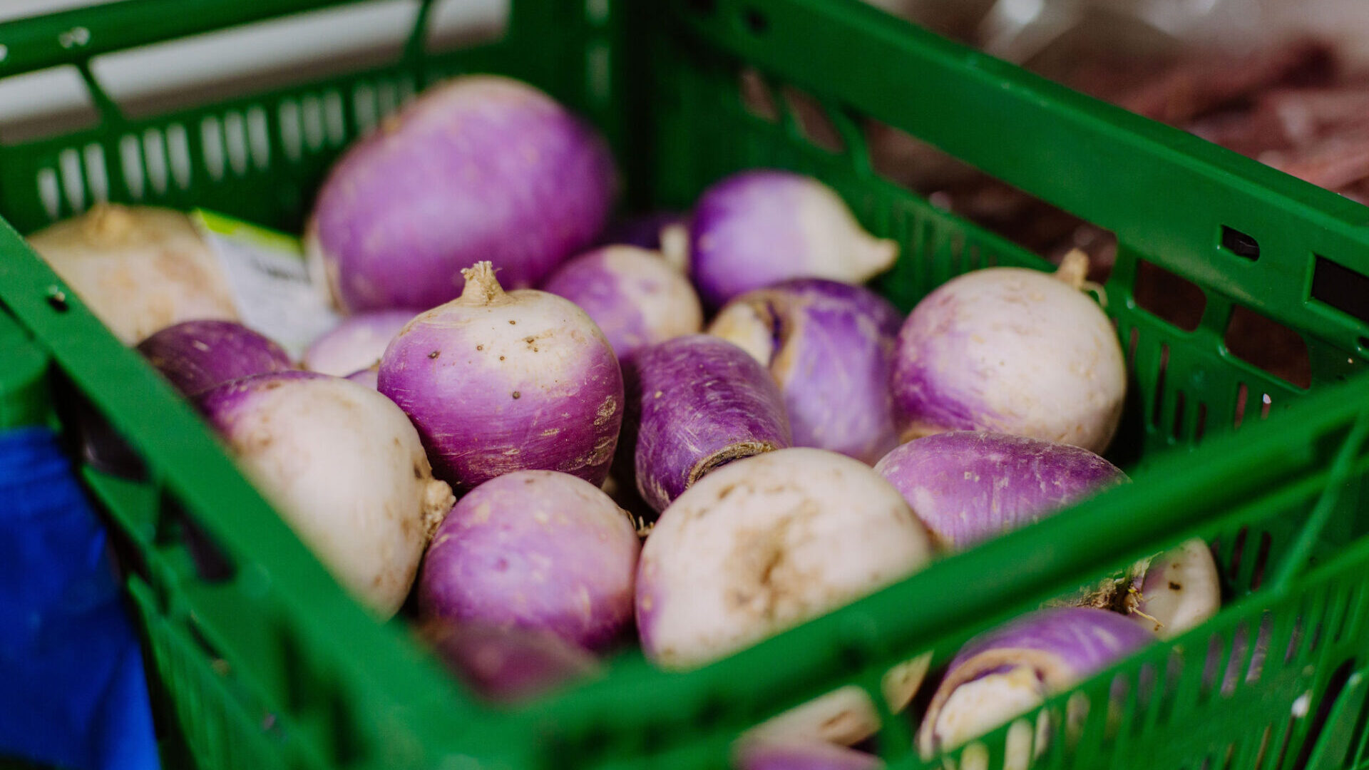 Outils techniques – BioCérès