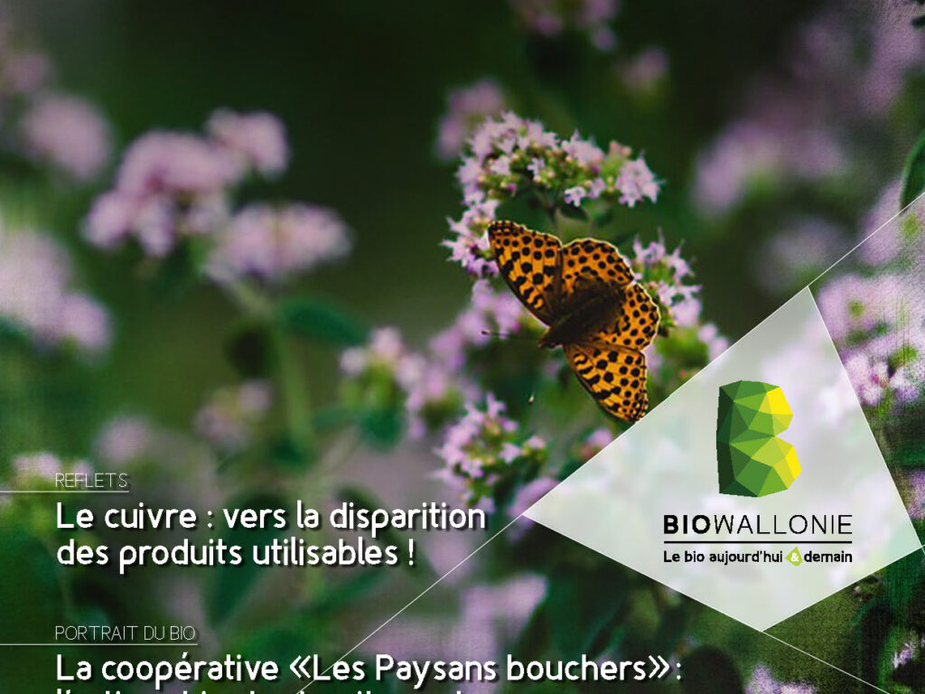 Itinéraires BIO 85 (novembre-décembre 2025 - Dossier PAM