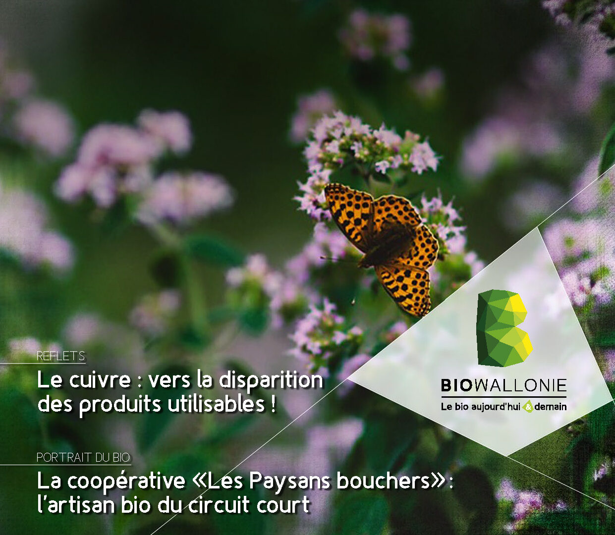 Itinéraires BIO 85 (novembre-décembre 2025 - Dossier PAM