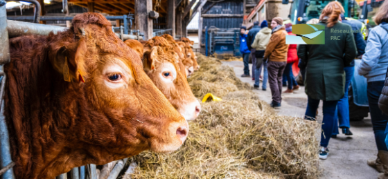 Rencontre « Coopératives de transformation »
