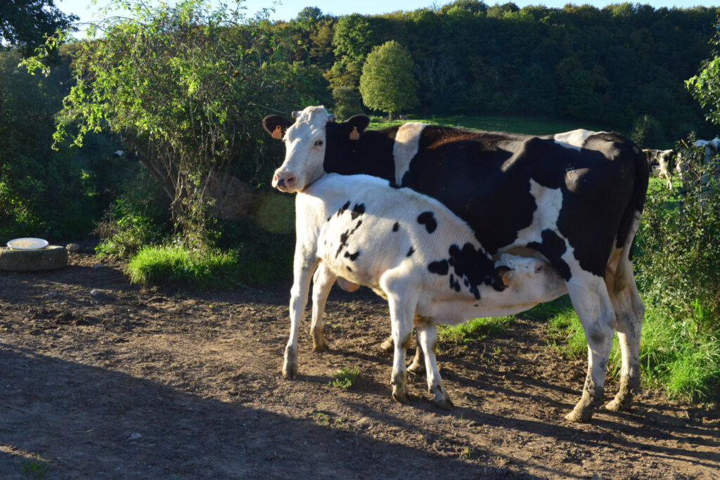 Soutien de 100.000€ - Appel à projet CERES - Agriculture en Transition