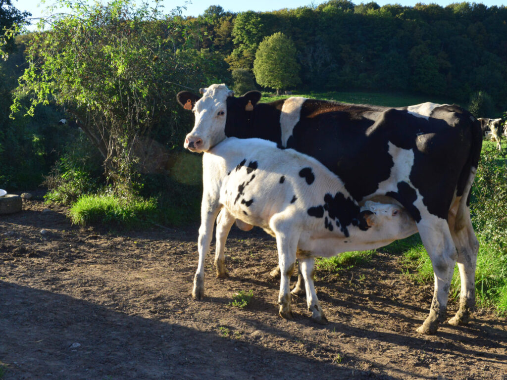 Projet CERES - Agriculture en transition