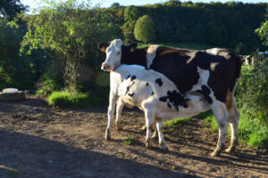Projet CERES - Agriculture en transition