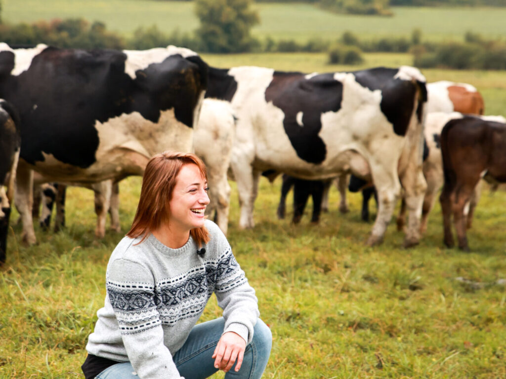 Un nouvel acteur pour plus de viande bovine bio locale dans vos menus !