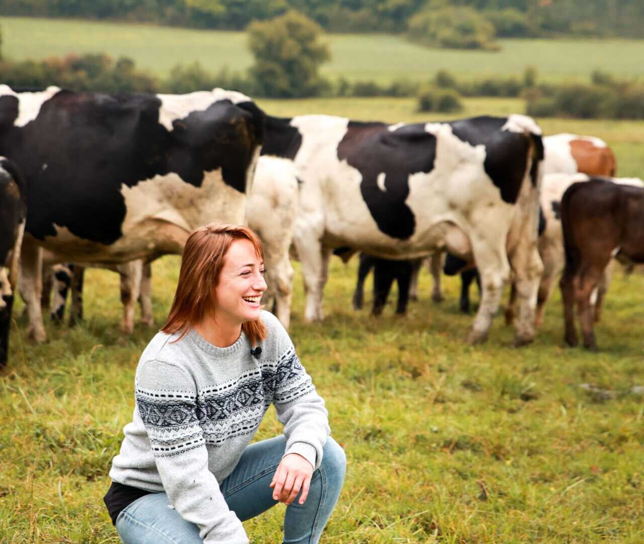 Meilleurs voeux 2026 !