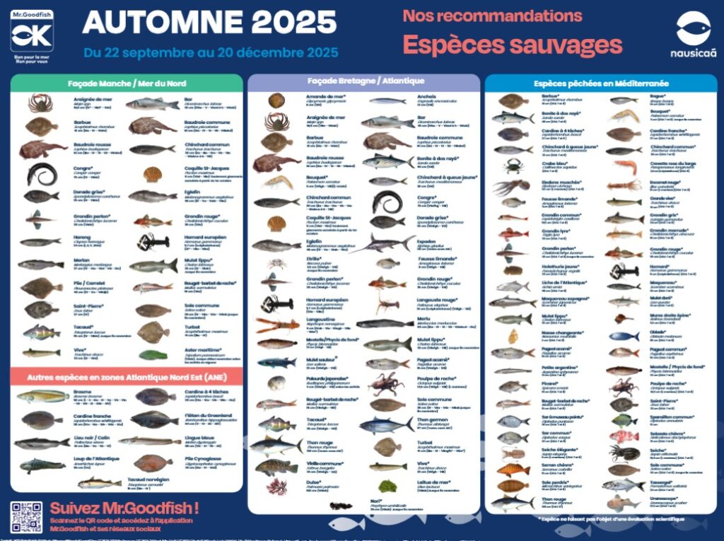 Mr.Goodfish : pour une consommation responsable des produits de la mer