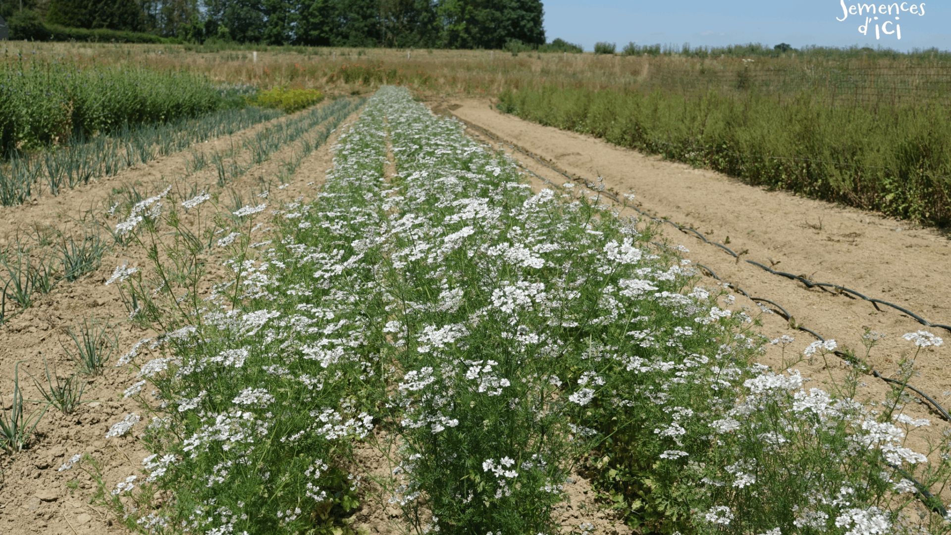 Outils techniques – BioCérès