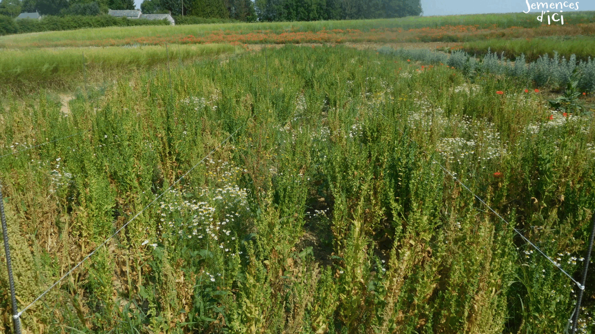 Outils techniques – BioCérès