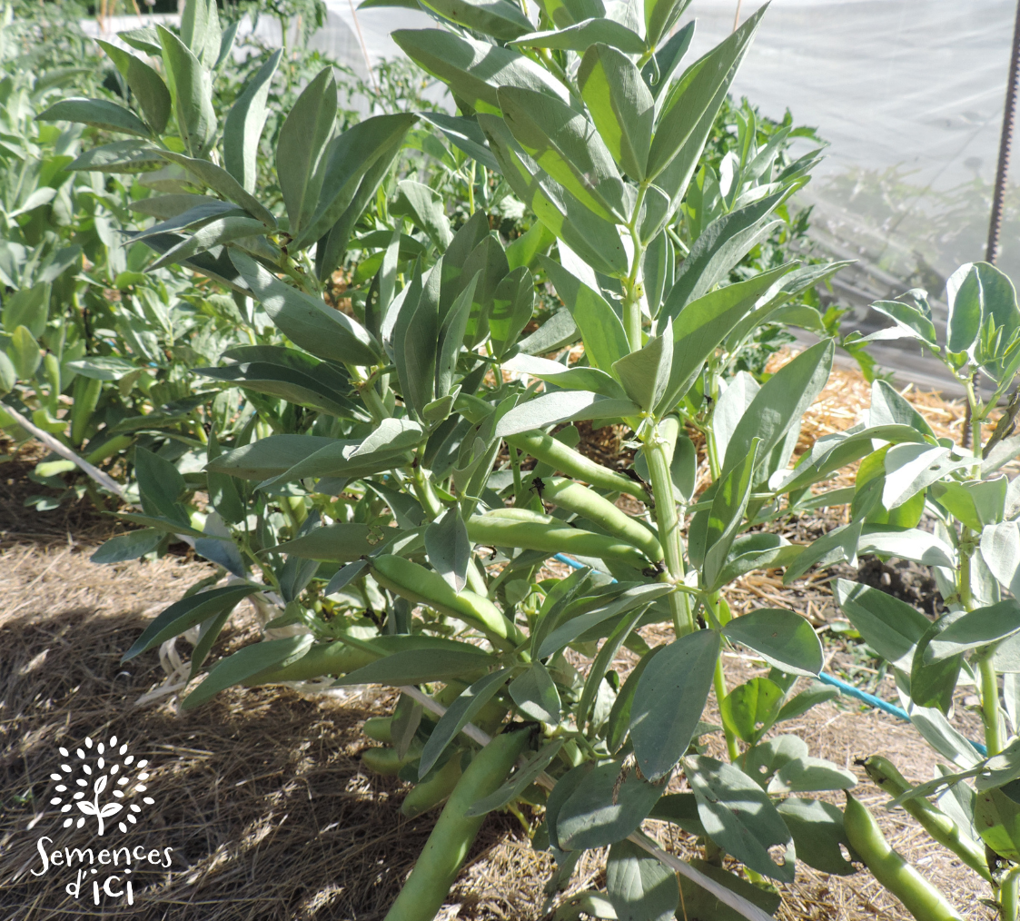 Outils techniques – BioCérès