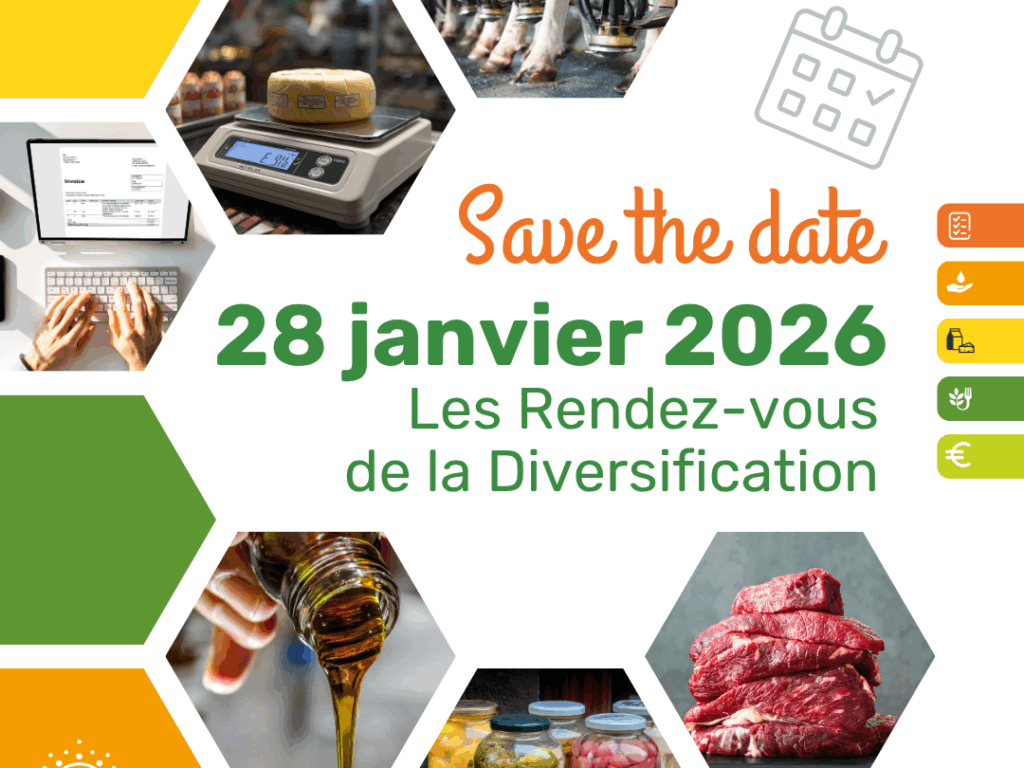 RDV de la diversification 2026