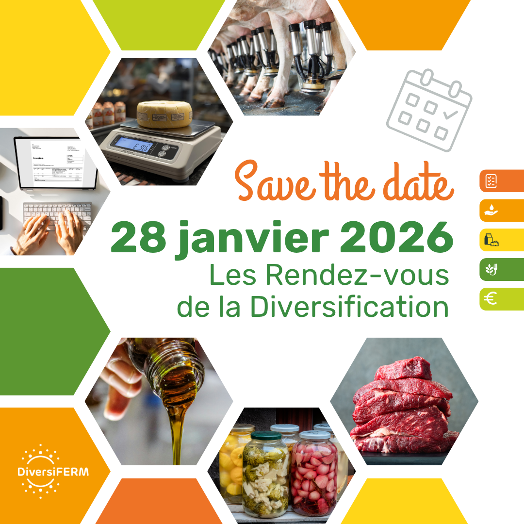 RDV de la diversification 2026