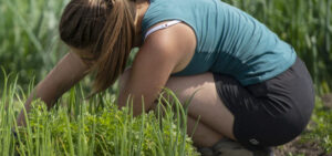 Projet CERES - Agriculture en transition