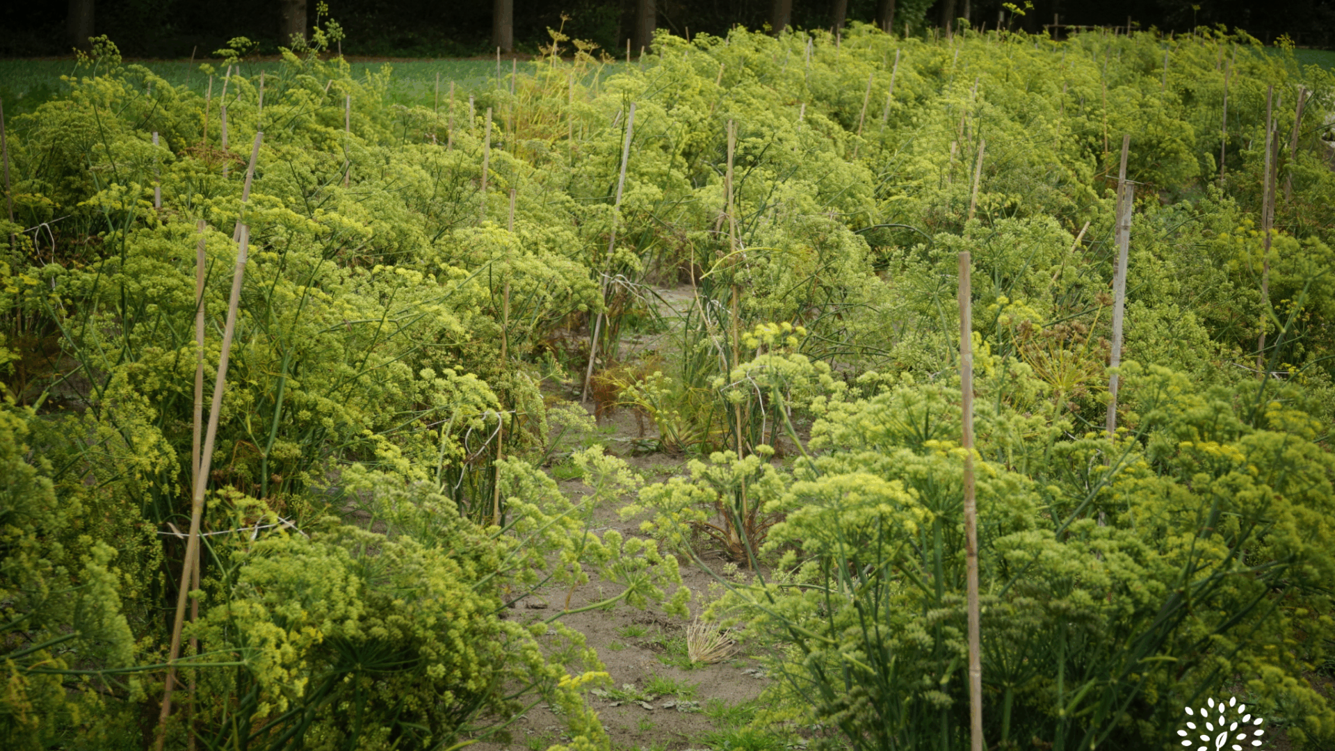 Outils techniques – BioCérès