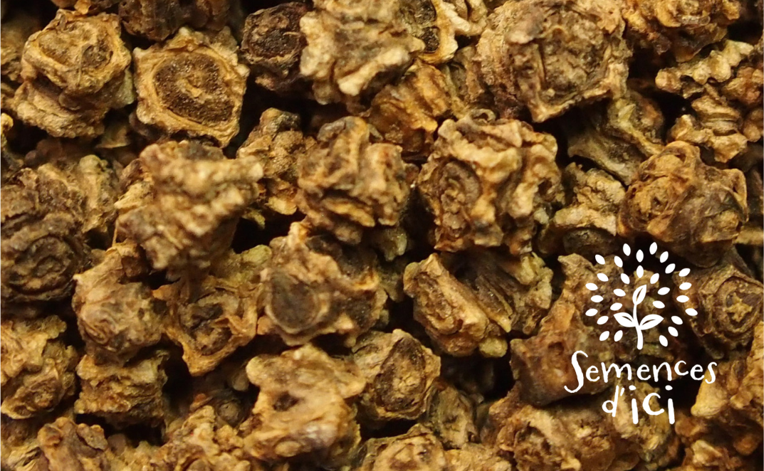 Outils techniques – BioCérès