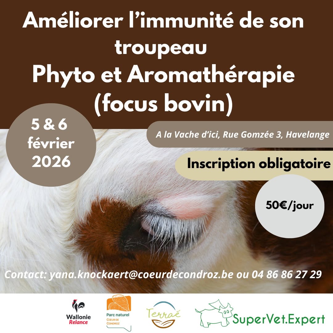 Horecatel – focus collectivités