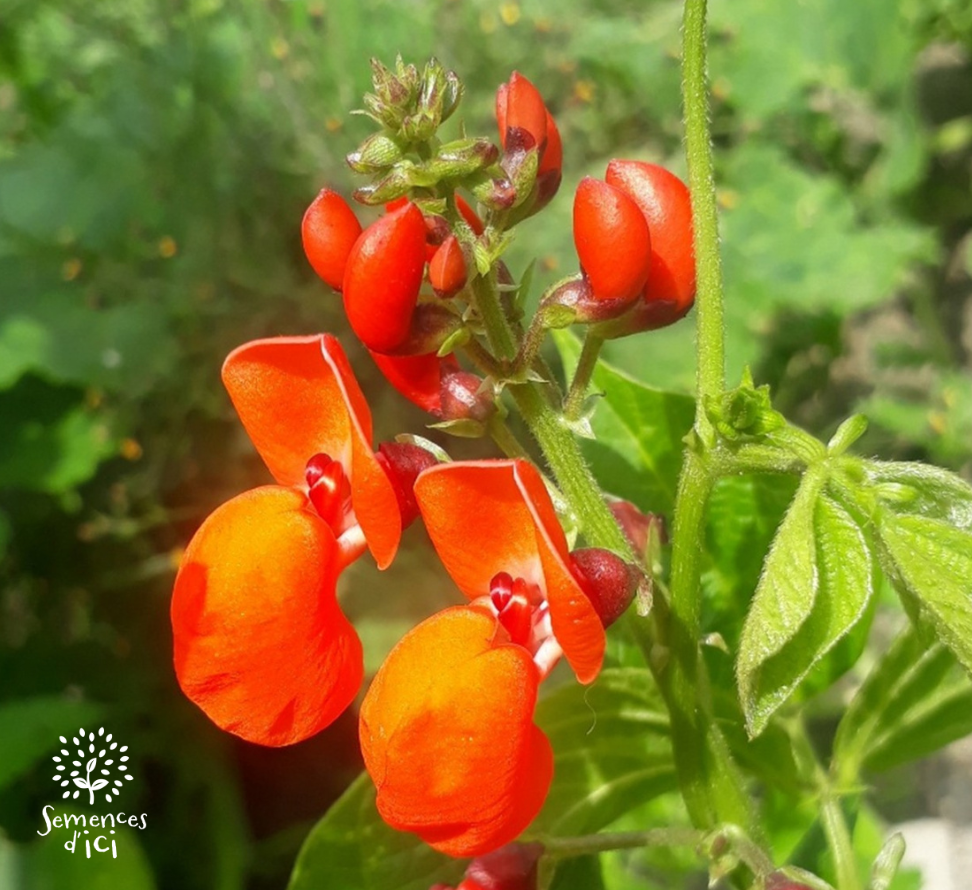 Outils techniques – BioCérès