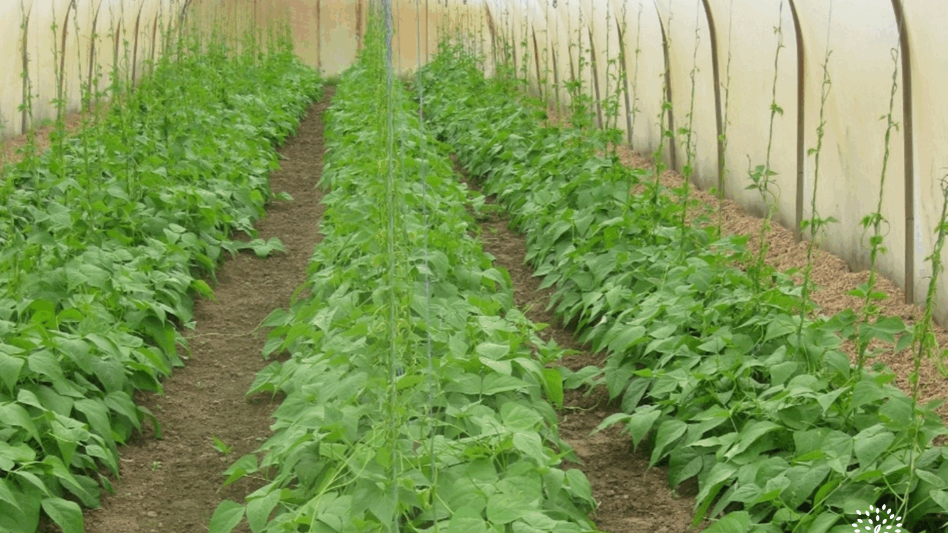 Outils techniques – BioCérès