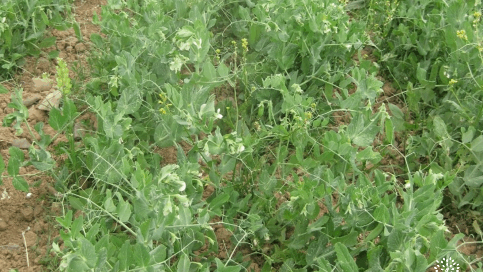 Outils techniques – BioCérès