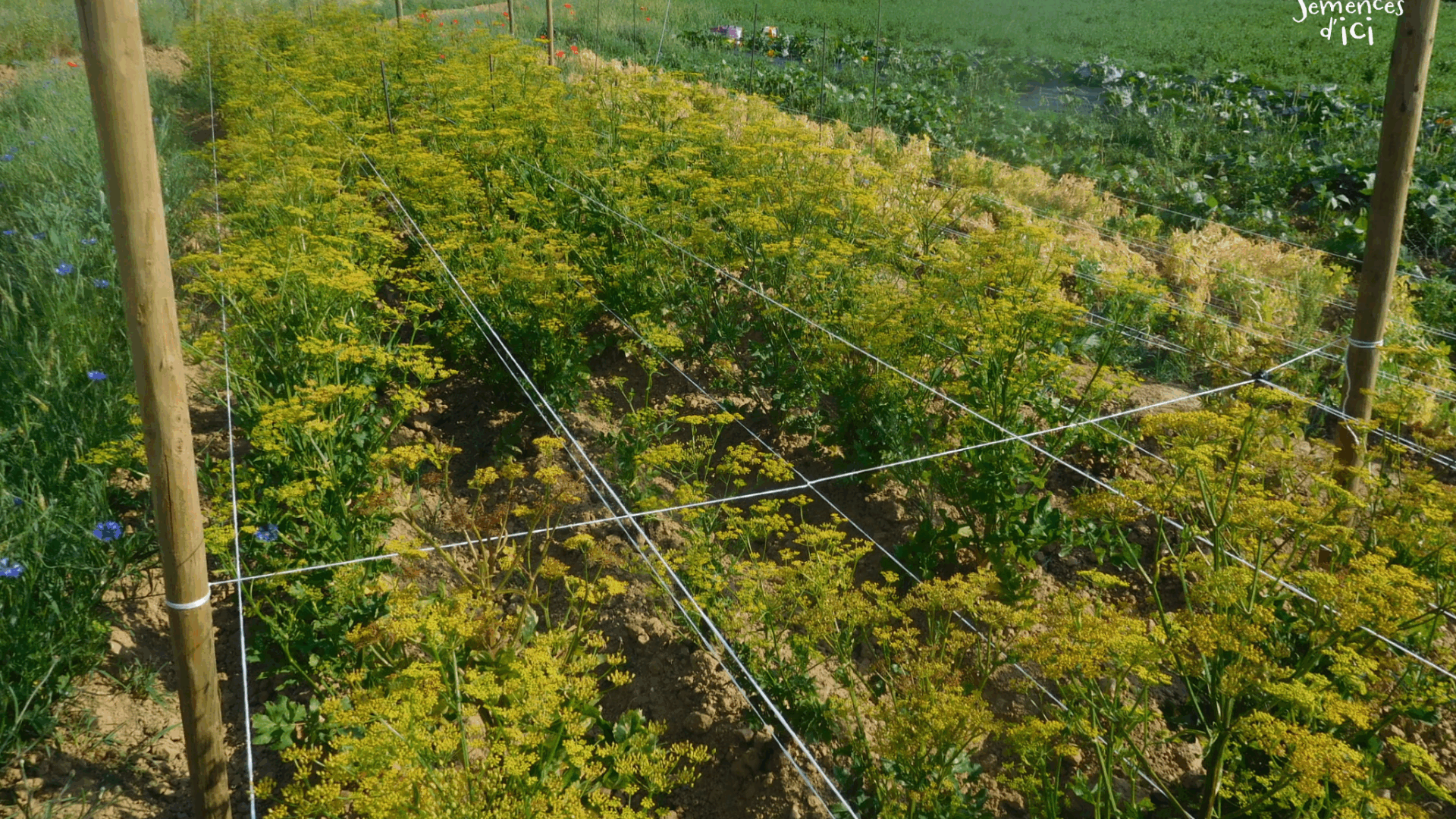 Outils techniques – BioCérès