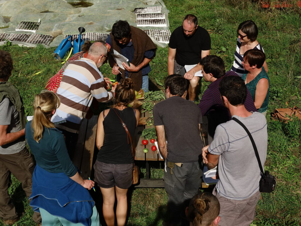 Dossier technique: Réseau d&rsquo;échanges entre multiplicateurs et sélectionneurs