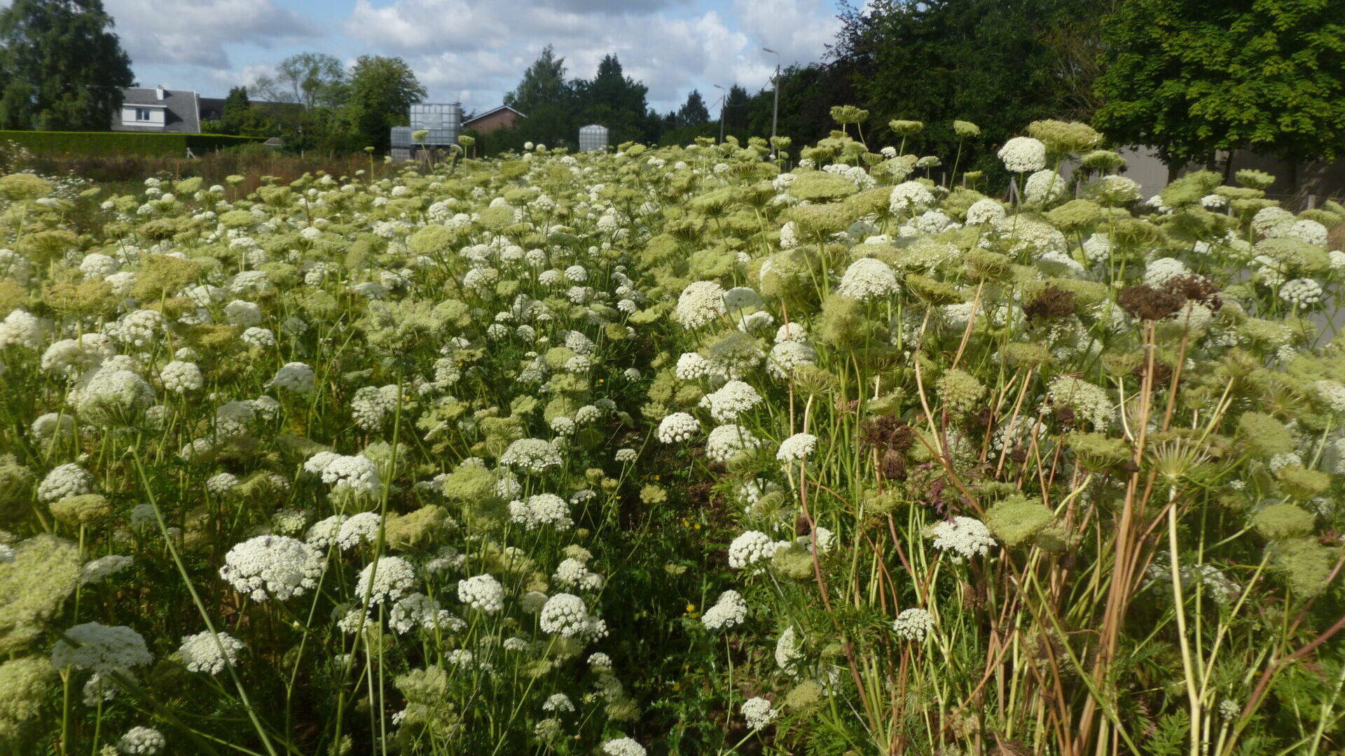 Outils techniques – BioCérès
