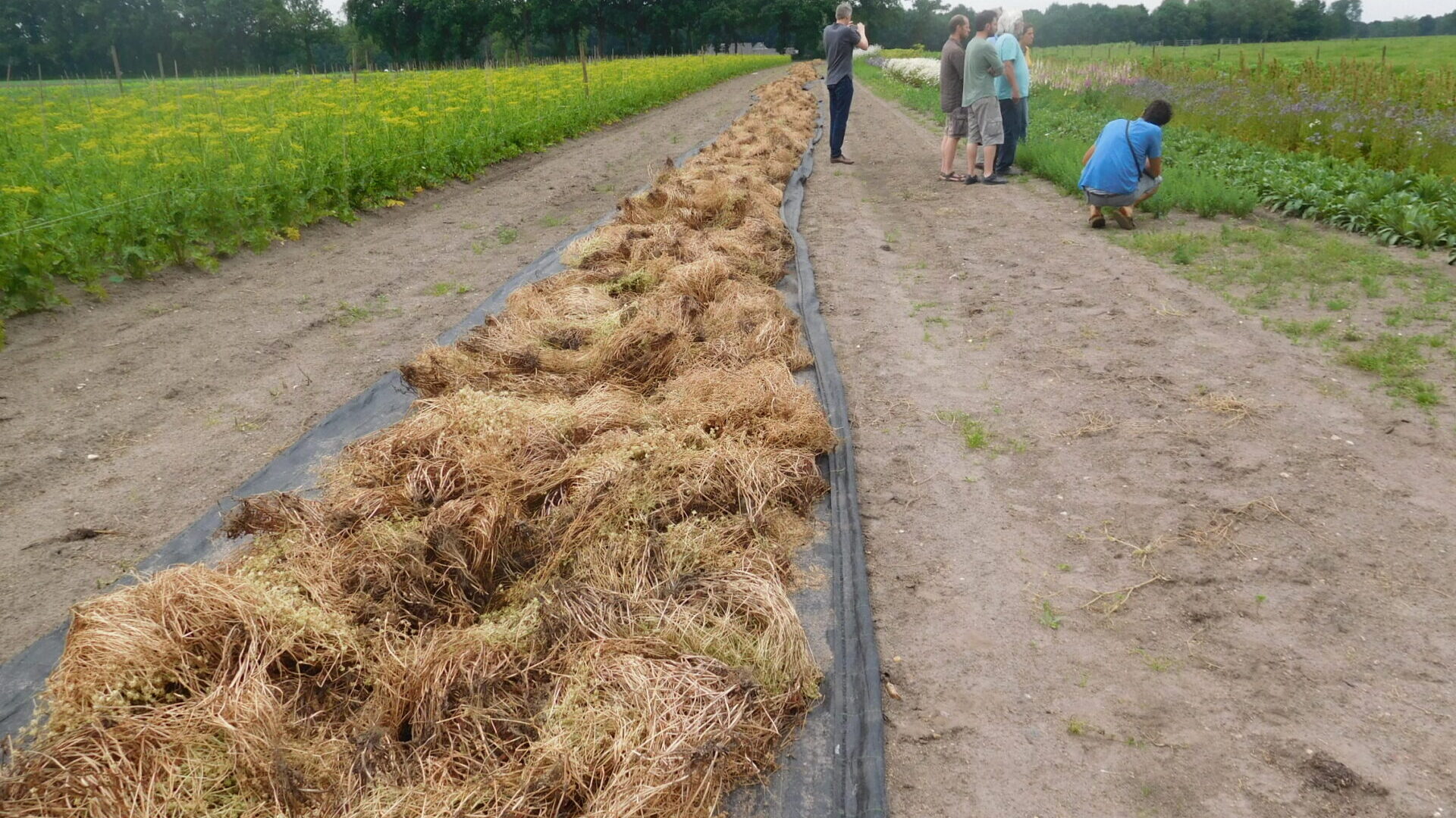 Outils techniques – BioCérès