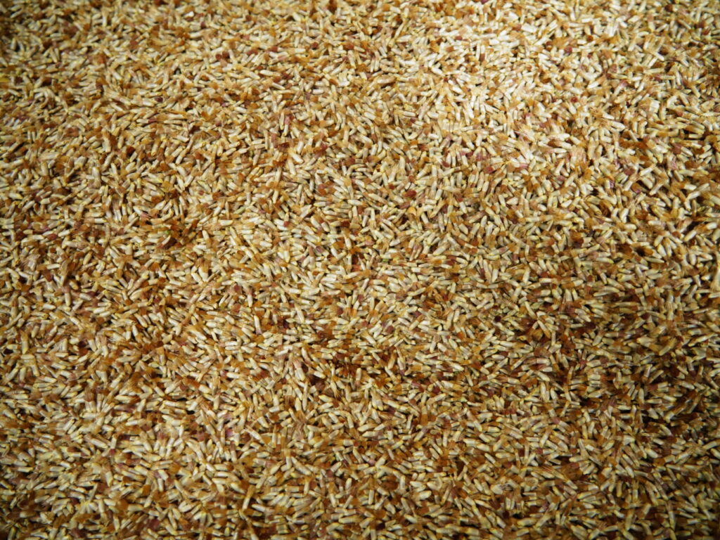 Dossier technique: La qualité des semences