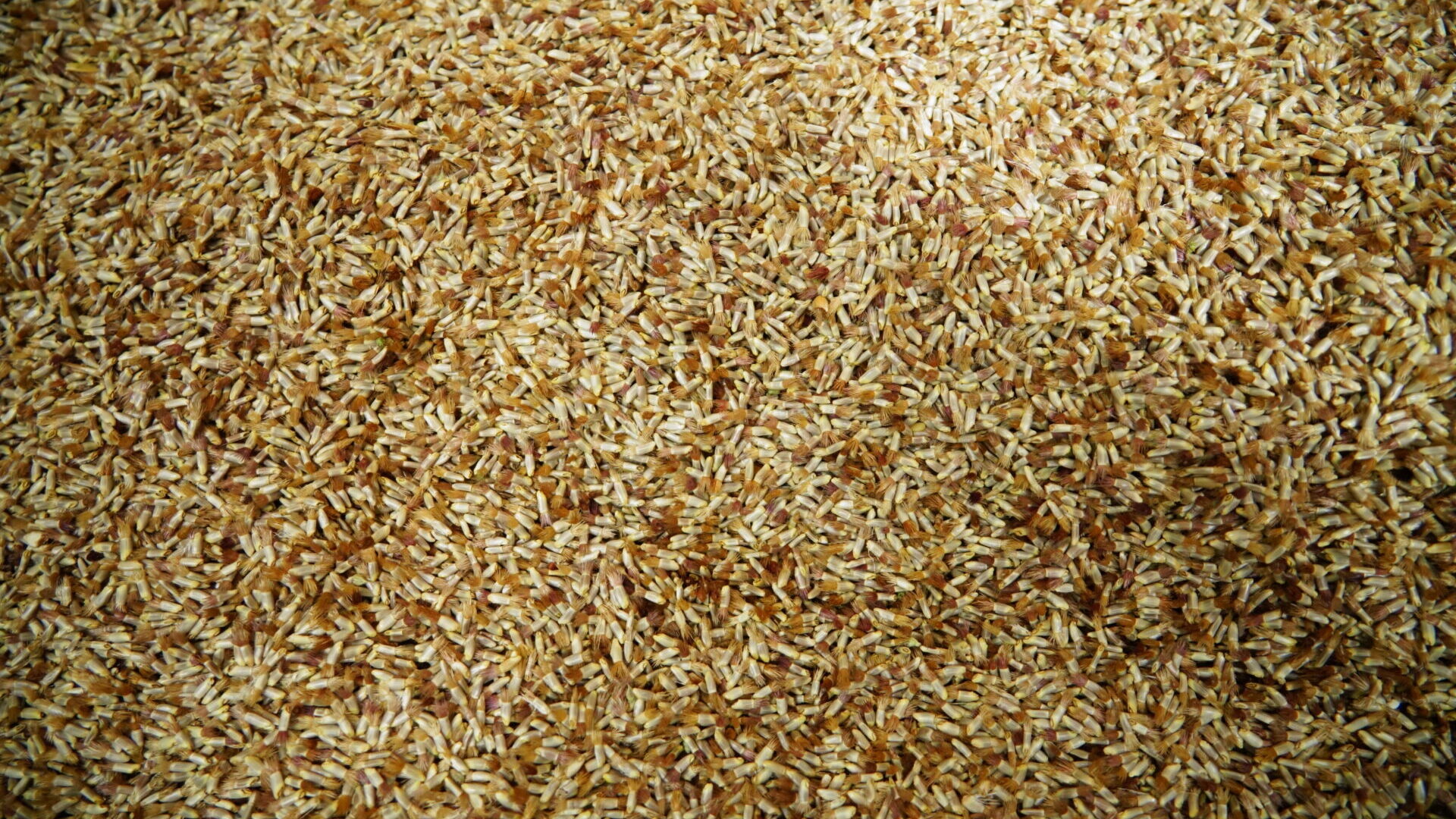 Outils techniques – BioCérès