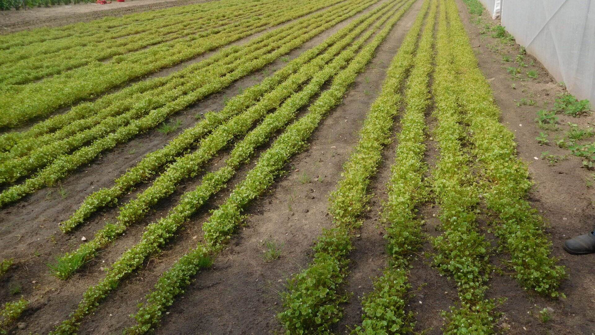 Outils techniques – BioCérès