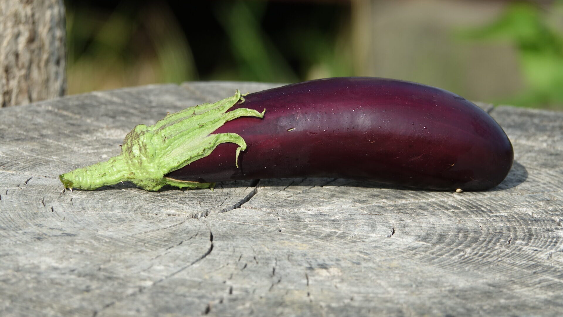 Outils techniques – BioCérès