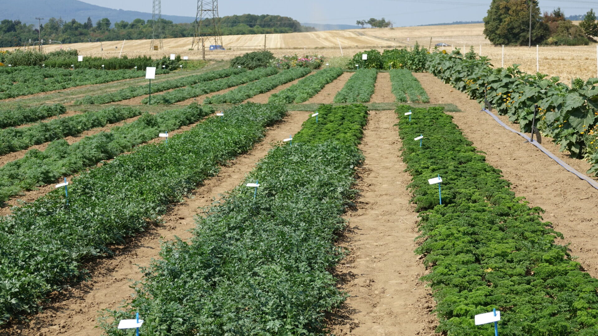 Outils techniques – BioCérès