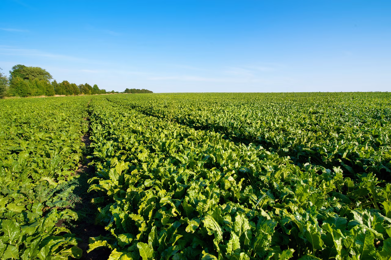 Outils techniques – BioCérès