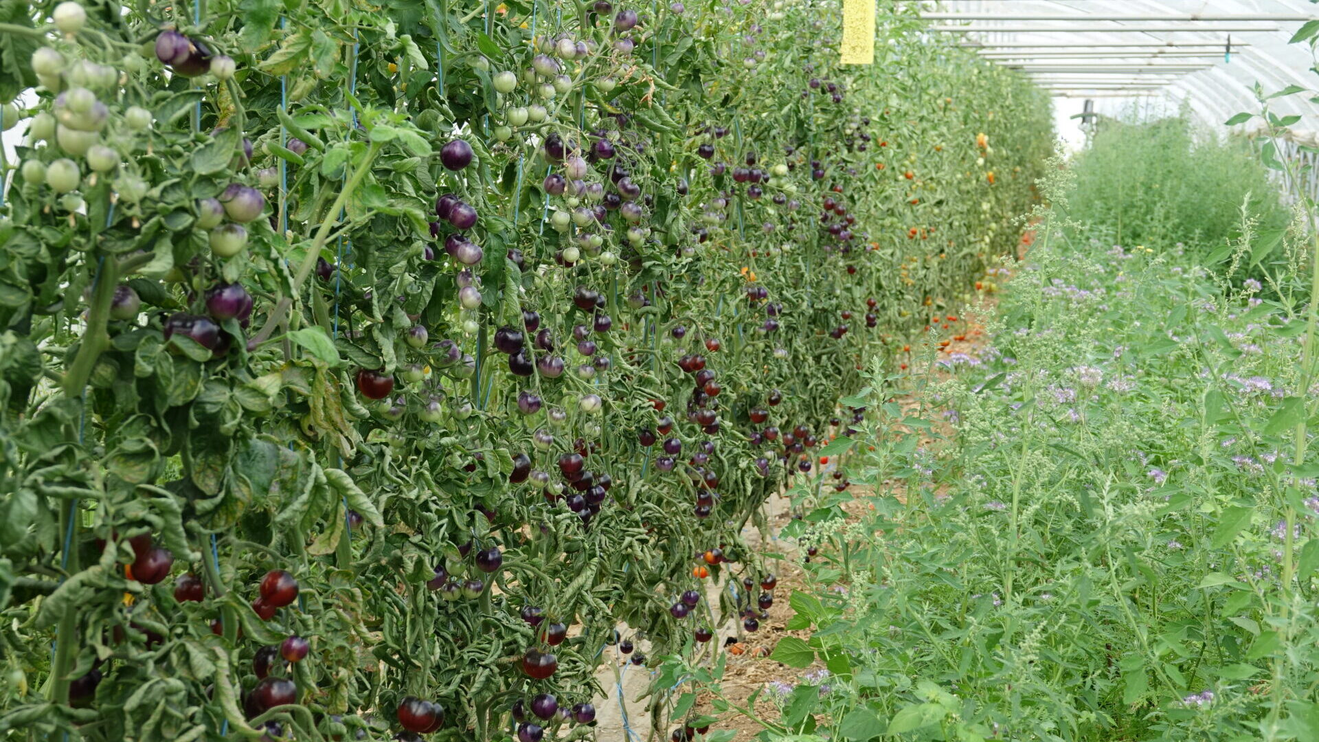 Outils techniques – BioCérès