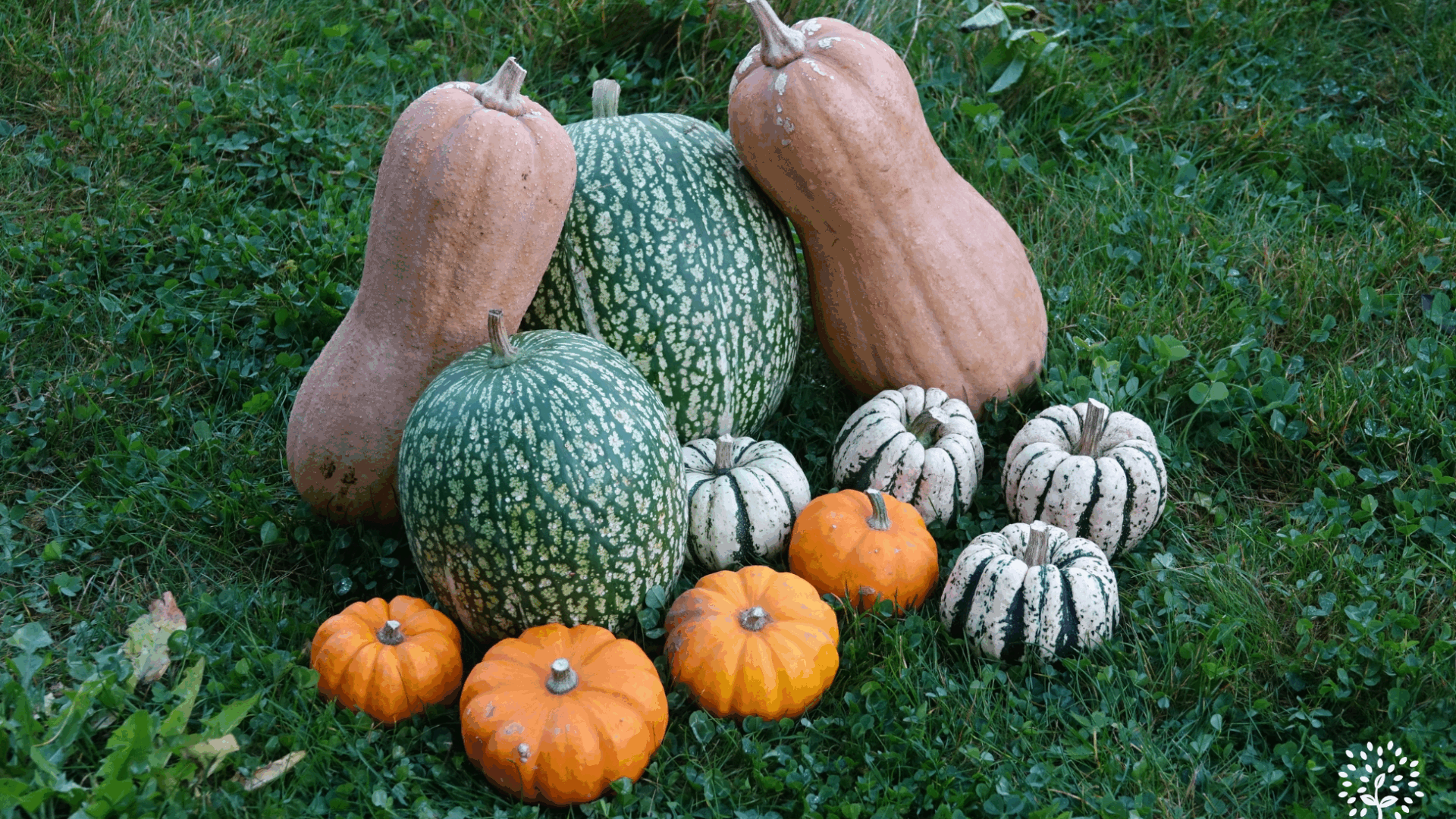 Outils techniques – BioCérès