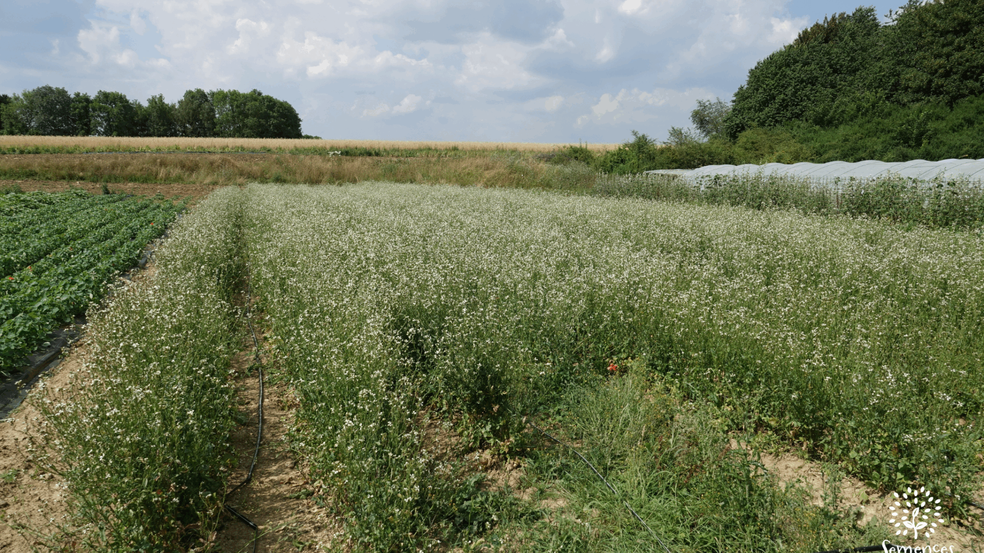 Outils techniques – BioCérès