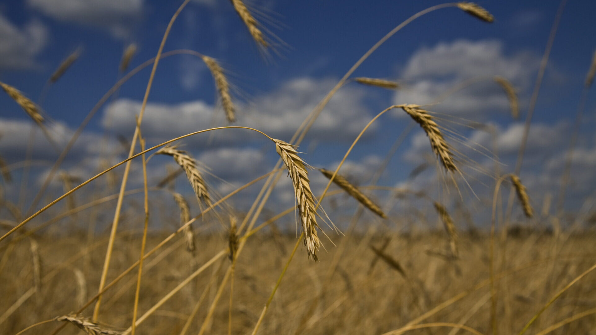 Enquête sur le gaspillage dans l&rsquo;HORECA en Wallonie