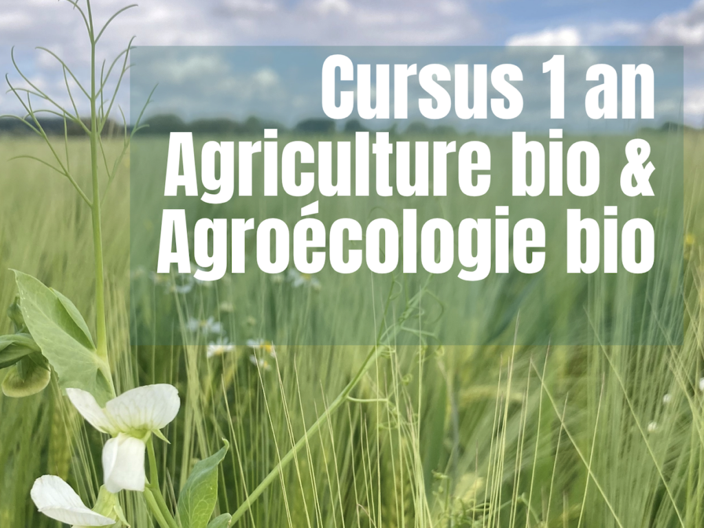 Organic – Cursus long d&rsquo;excellence en agriculture biologique