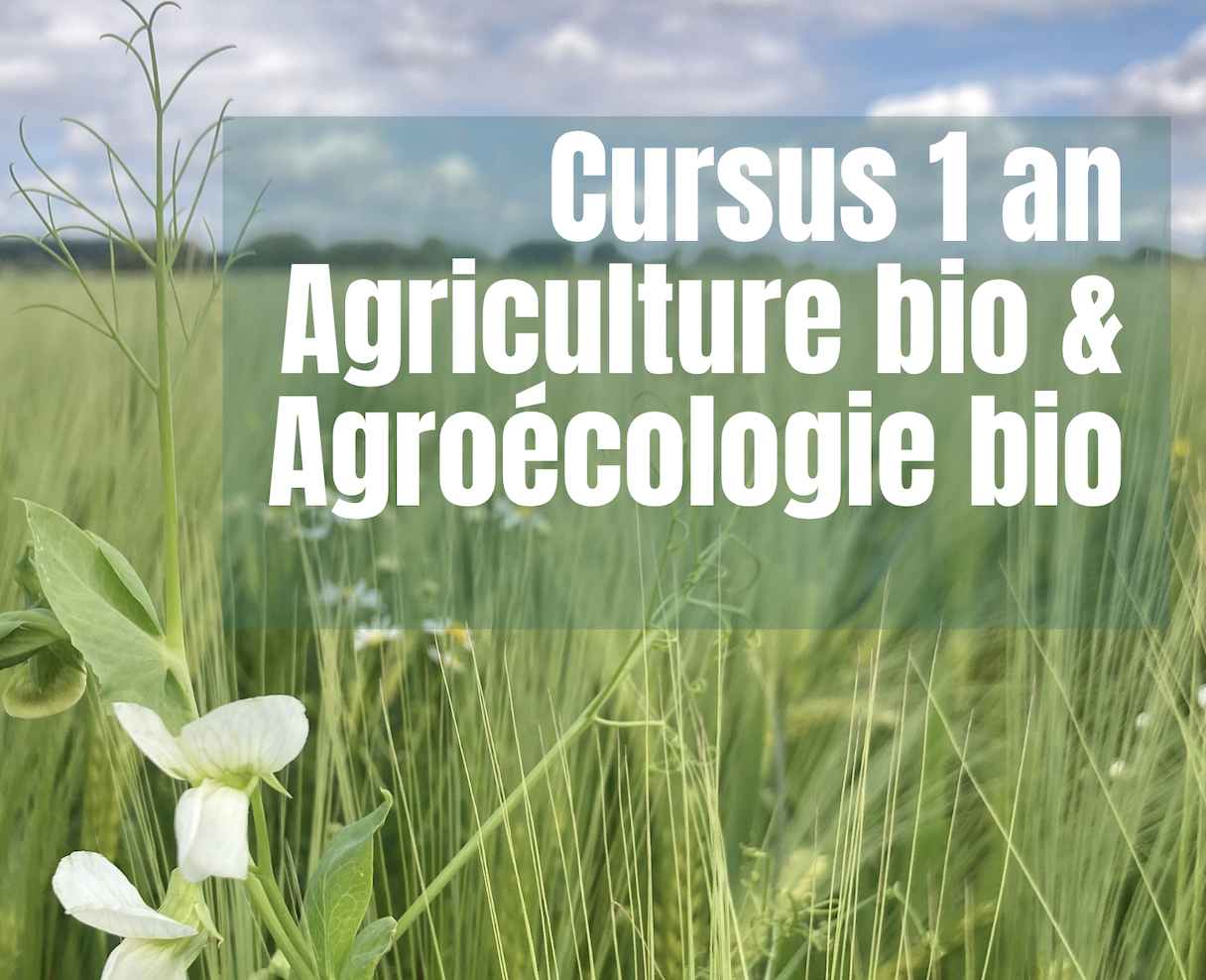 Formation continue d’initiation à l’agriculture biologique: bases de l’agriculture biologique