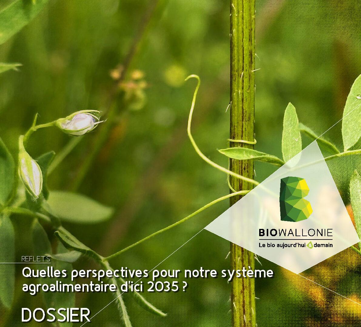 Itinéraires BIO 88 (mai-juin 2026)