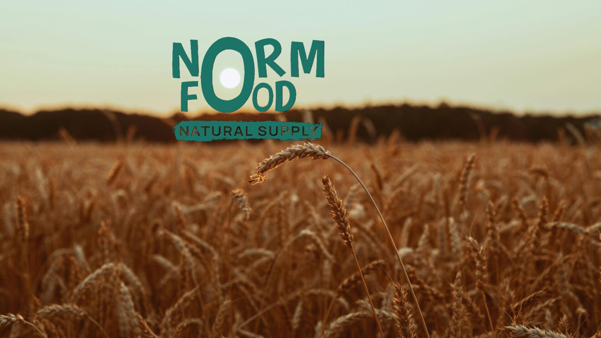 NormFood logo