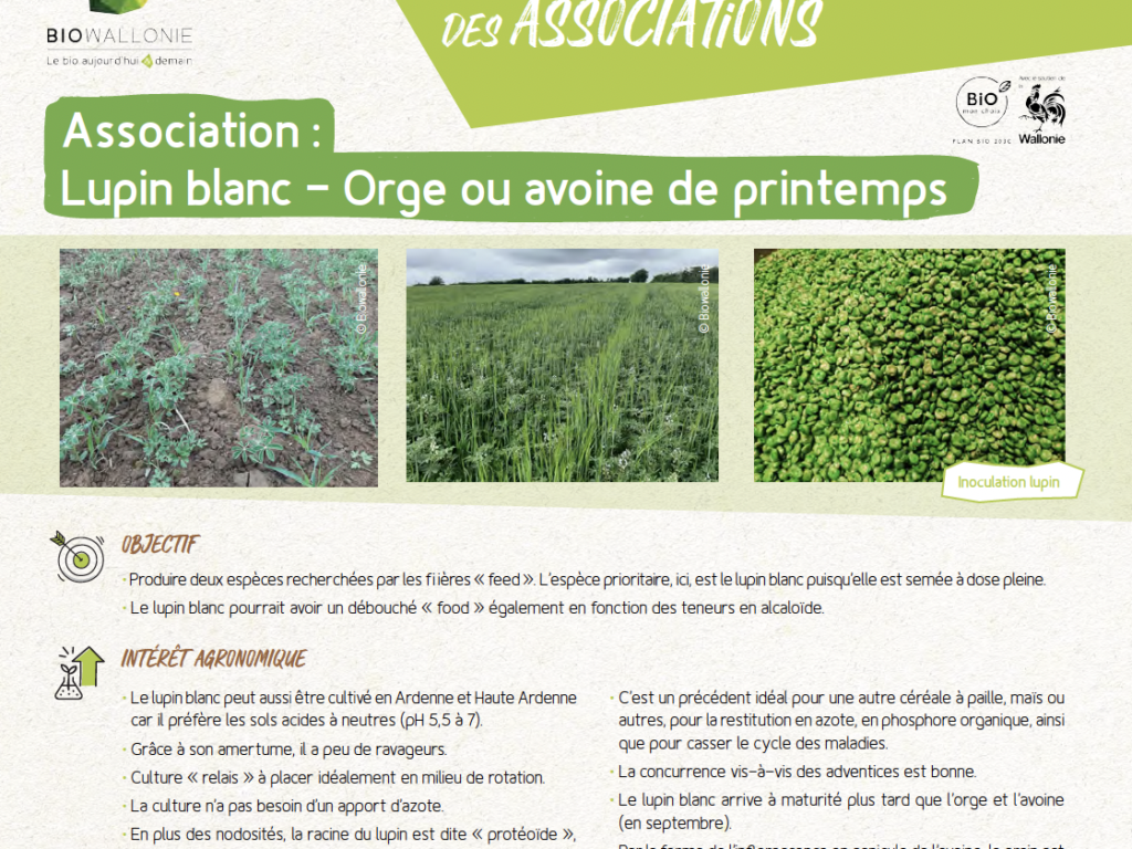 Itinéraire technique d&rsquo;association – Lupin blanc – Orge ou avoine de printemps