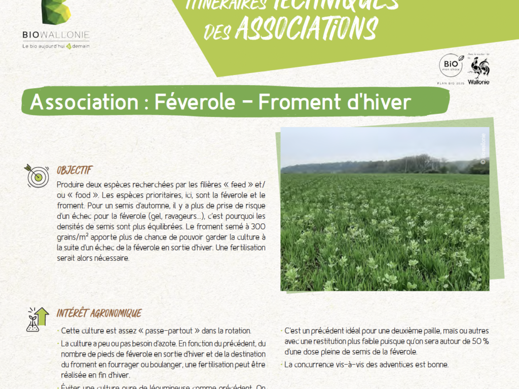 Itinéraire technique d&rsquo;association – Féverole – Froment d&rsquo;hiver